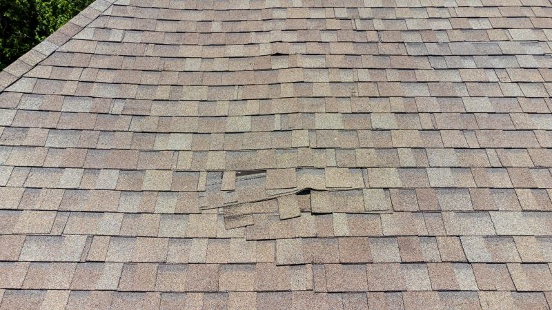Asphalt Roof Inspection in Berea, OH
