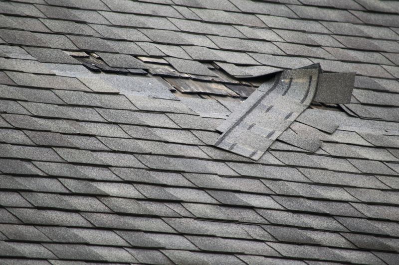Asphalt Roof Repair in Lakewood, OH