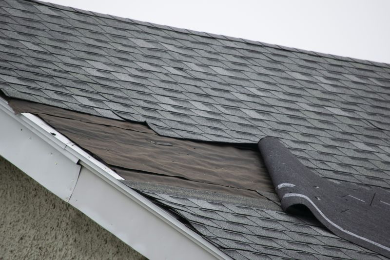Asphalt Shingles Repair in Northfield, OH