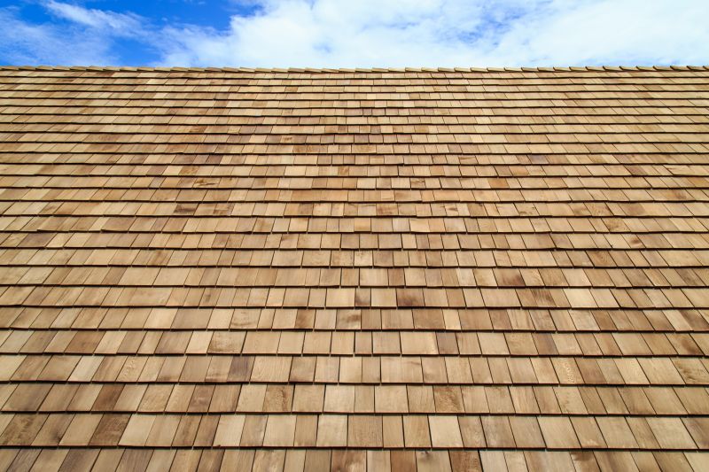 Cedar Shake Roof Construction in Elyria, OH