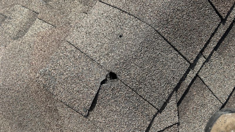Damaged Roof Repair in Barberton, OH