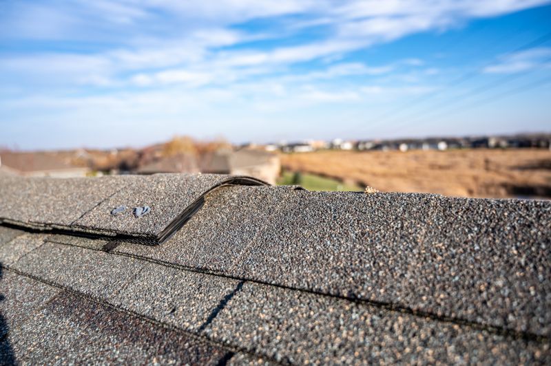 Damaged Roof Repair in Elyria, OH