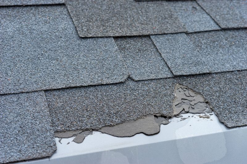 Damaged Roof Repair in Medina, OH