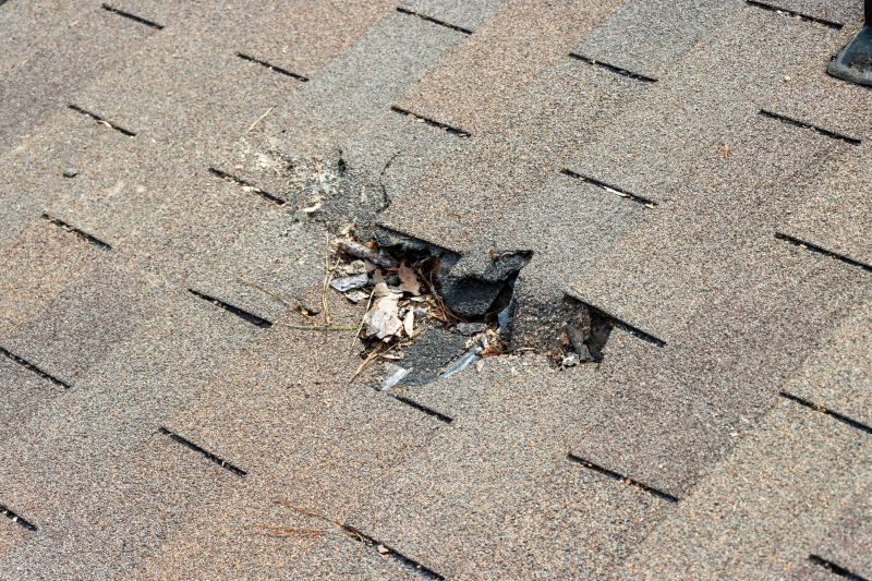 Damaged Roof Replacement in Elyria, OH