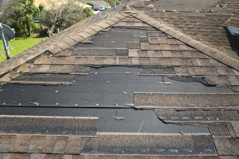 Roof Hail Damage Repair in Medina County, OH
