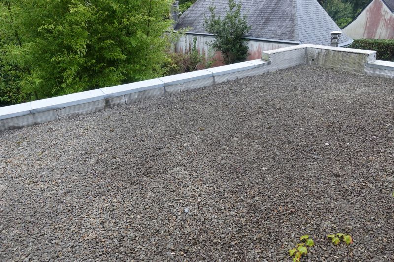 Tar And Gravel Roof Repair in West Salem, OH