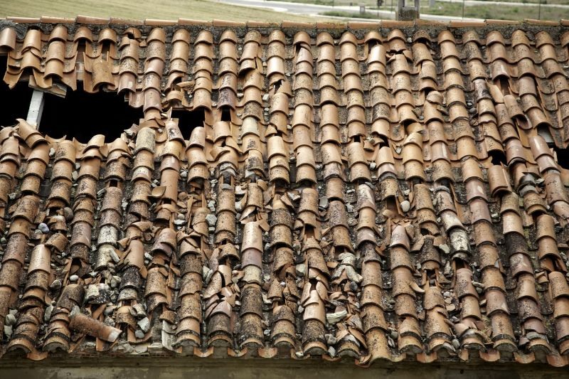 Tile Roof Inspection in Medina County, OH