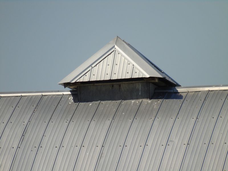 Tin Roof Installation in Twinsburg, OH