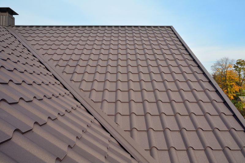 Tin Roof Installation in Valley City, OH