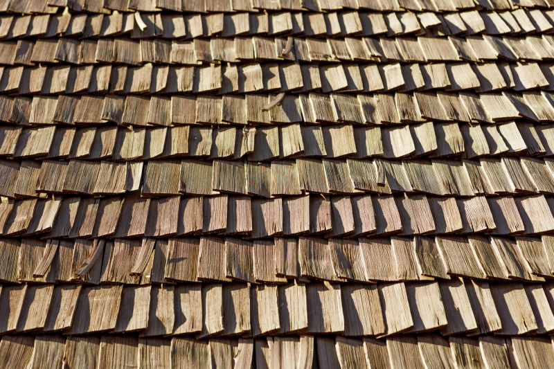 Wood Shake Roof Replacement in Lorain County, OH